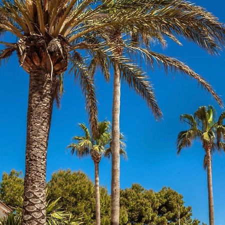 Bonito Apartamento Con Terraza, Jardin Y Piscina Cala'N Bosch  Exteriör bild